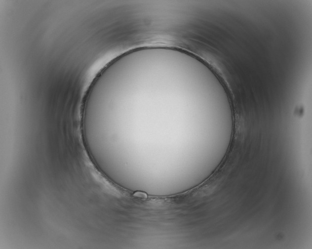 X0000111651480200908071355