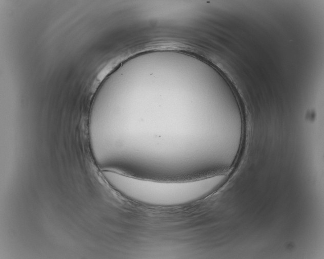 X0000111651481200908071355