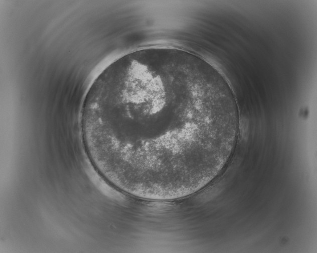 X0000111651482200908071355
