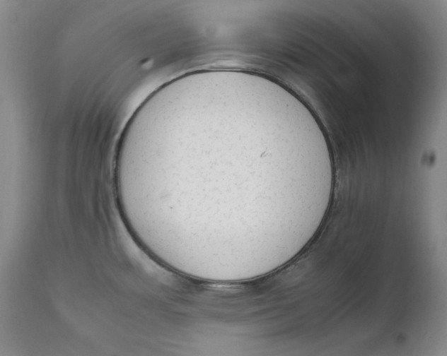 X0000111651483200908071355