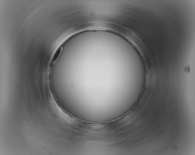 X0000111651484200908071355