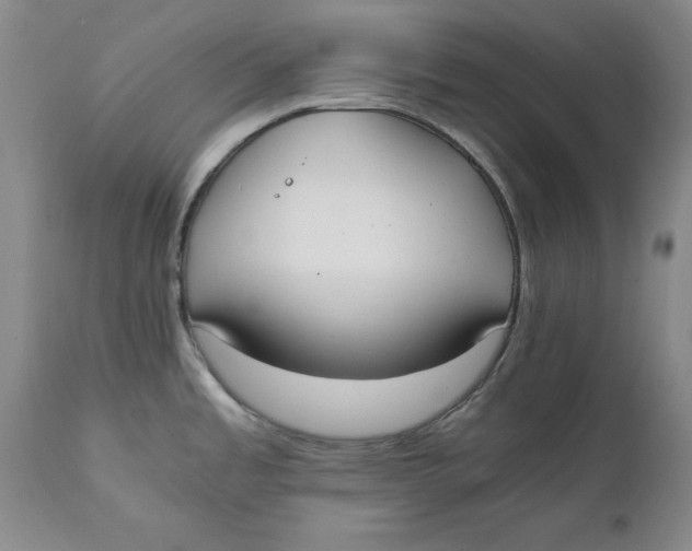X0000111651485200908071355