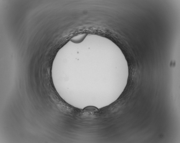 X0000111651489200908071354