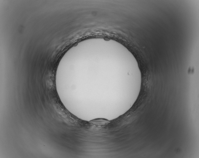 X0000111651490200908071354