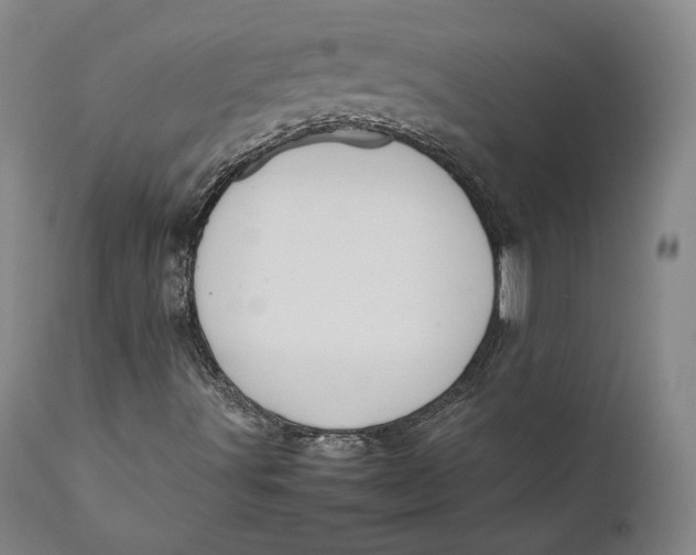 X0000111651491200908071354