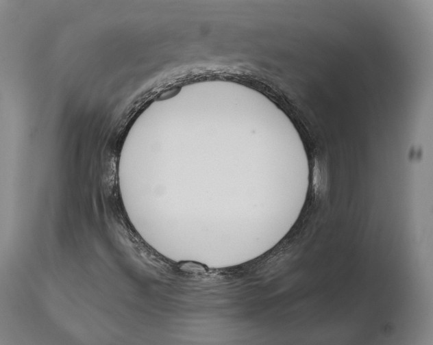 X0000111651492200908071354