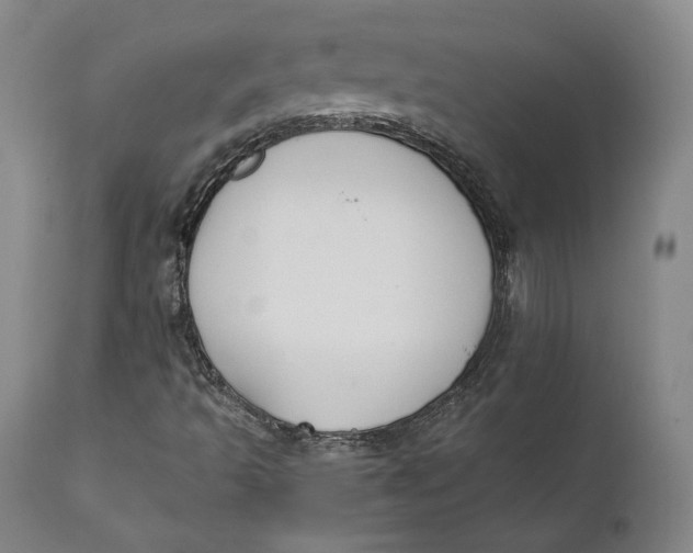 X0000111651493200908071354