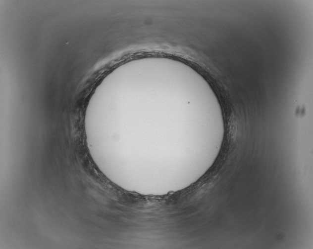 X0000111651494200908071354