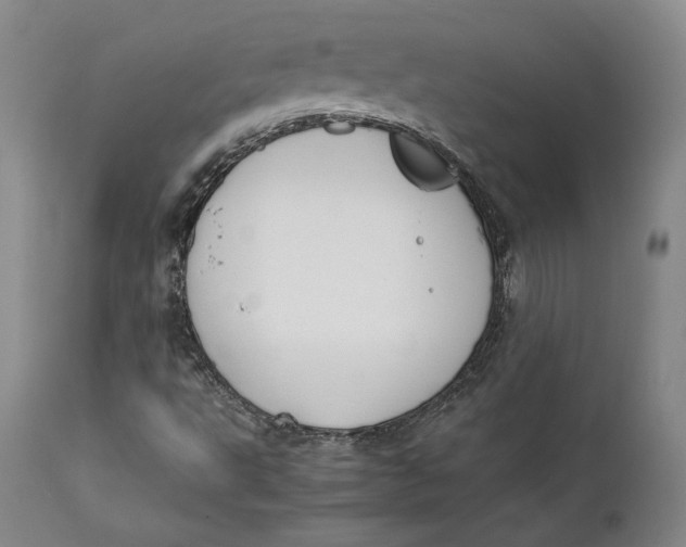 X0000111651495200908071354