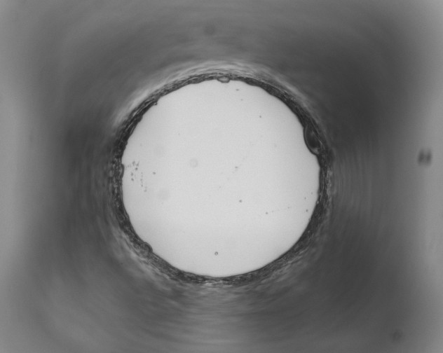 X0000111651496200908071354
