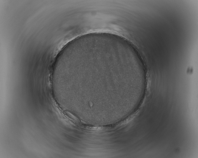 X0000111651497200908071354