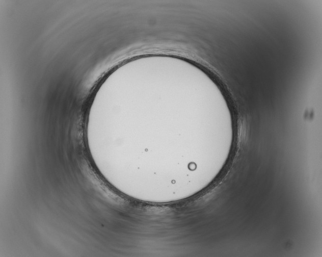 X0000111651498200908071354