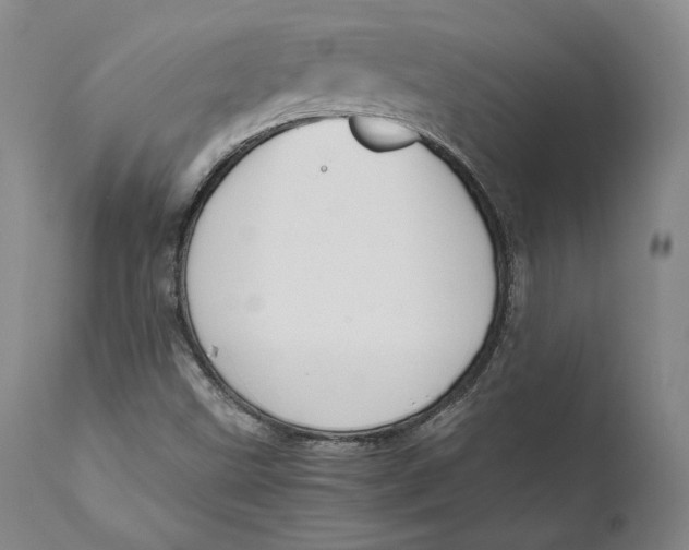 X0000111651499200908071354