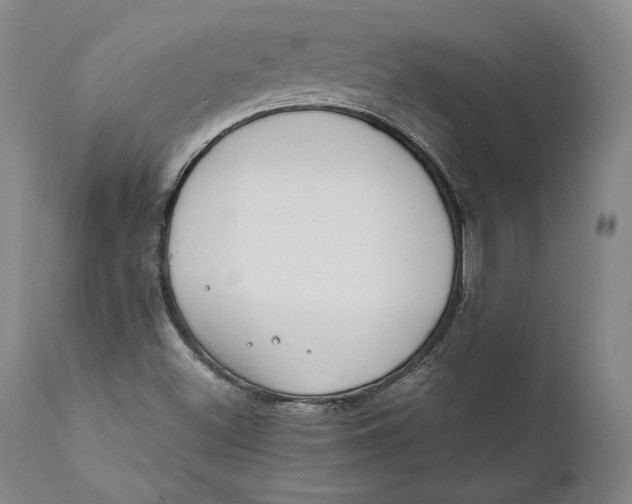 X0000111651500200908071354