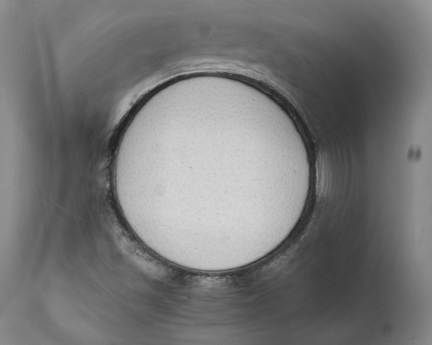 X0000111651501200908071354