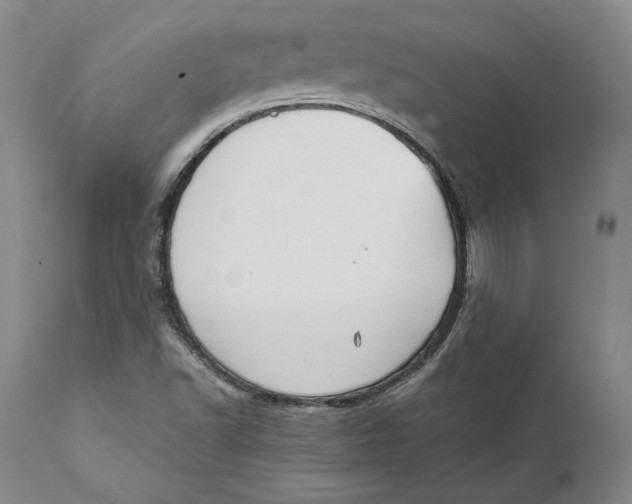 X0000111651502200908071354