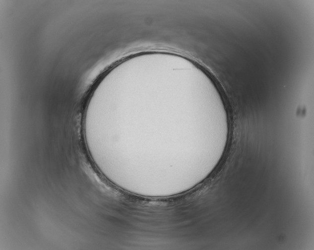 X0000111651503200908071354
