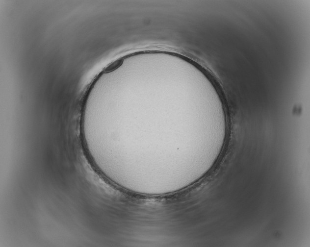 X0000111651504200908071354
