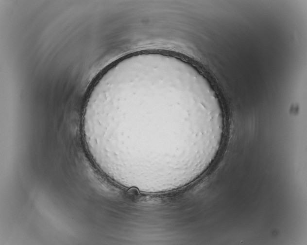 X0000111651505200908071354