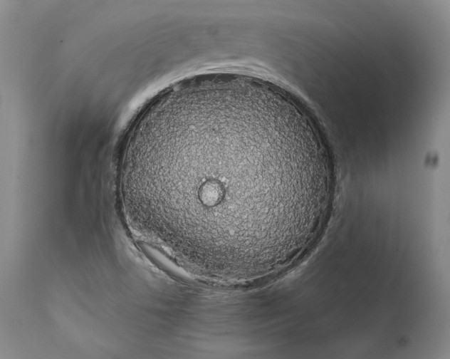 X0000111651506200908071354