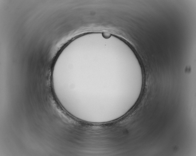 X0000111651507200908071354