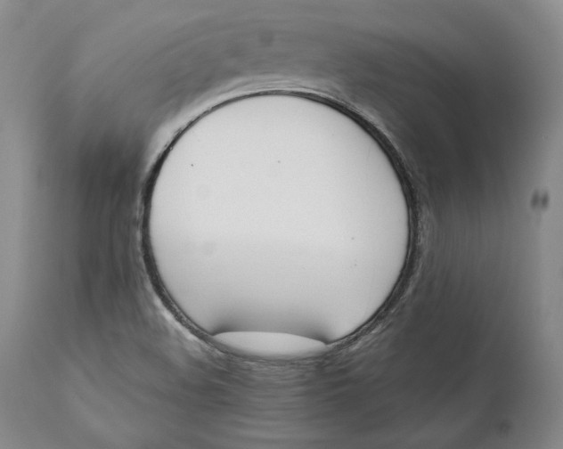 X0000111651508200908071354