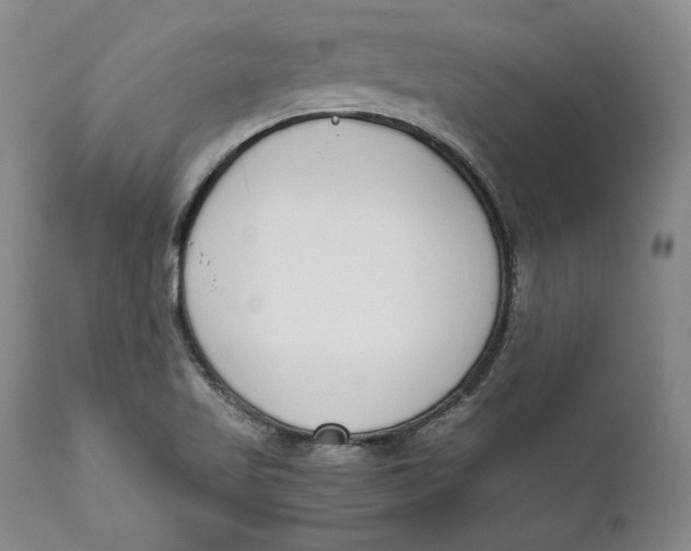 X0000111651509200908071354