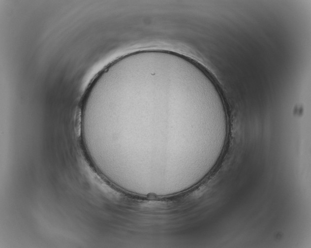 X0000111651510200908071354