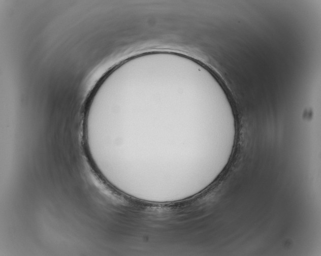 X0000111651511200908071354