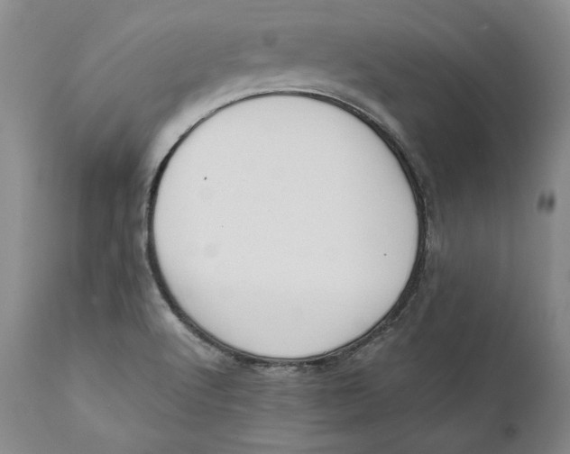 X0000111651512200908071354