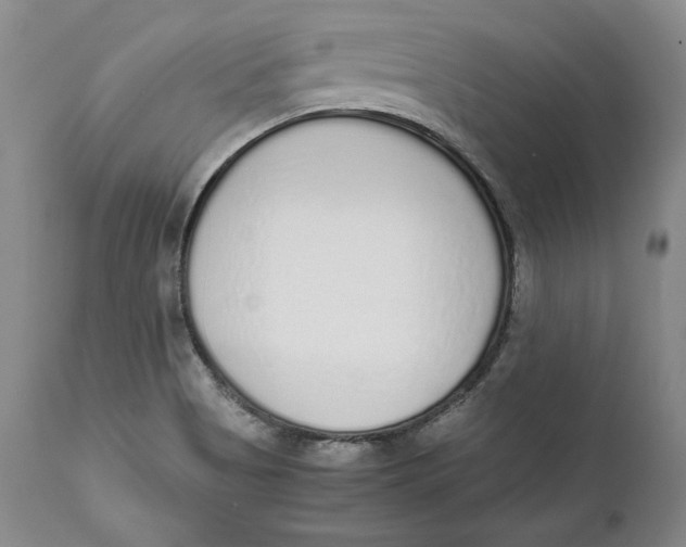 X0000111651513200908071354