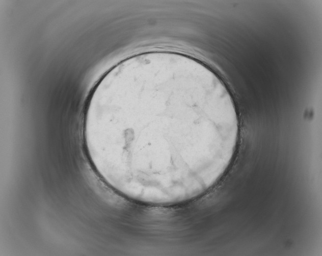 X0000111651514200908071354