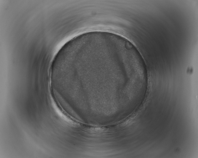 X0000111651515200908071354