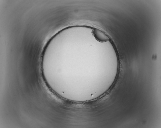 X0000111651517200908071354