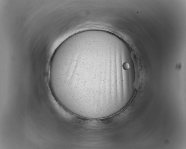 X0000111651520200908071354