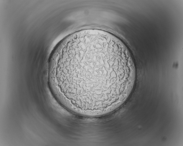 X0000111651522200908071354