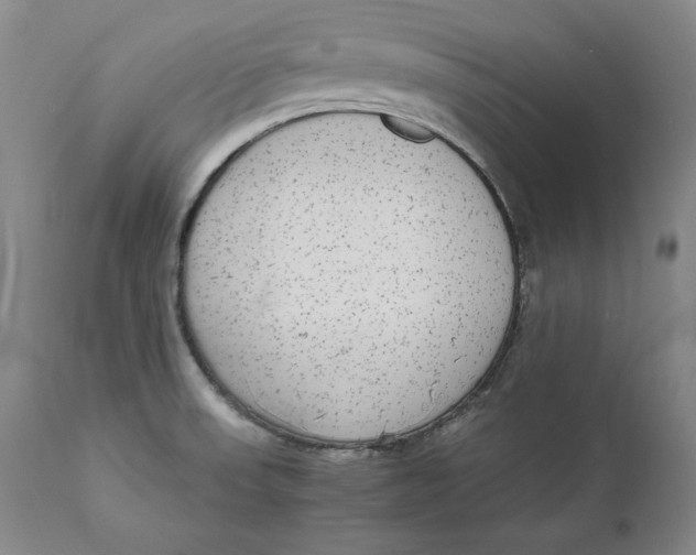 X0000111651523200908071354