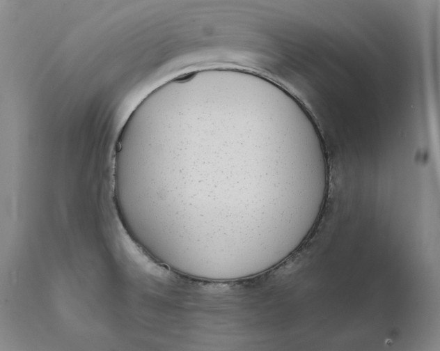 X0000111651524200908071354