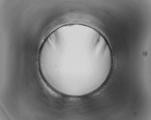 X0000111651525200908071354