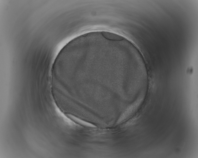 X0000111651527200908071354