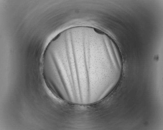 X0000111651528200908071354