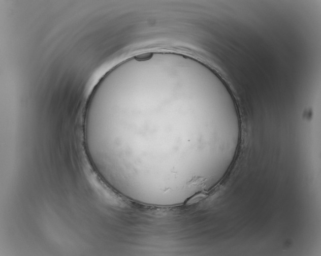 X0000111651530200908071354