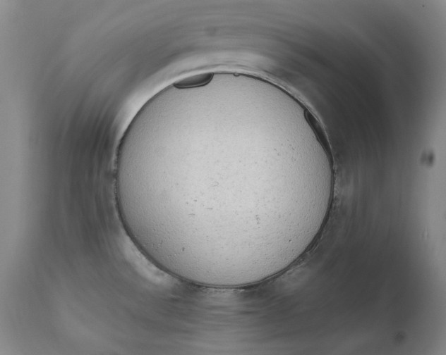X0000111651532200908071354