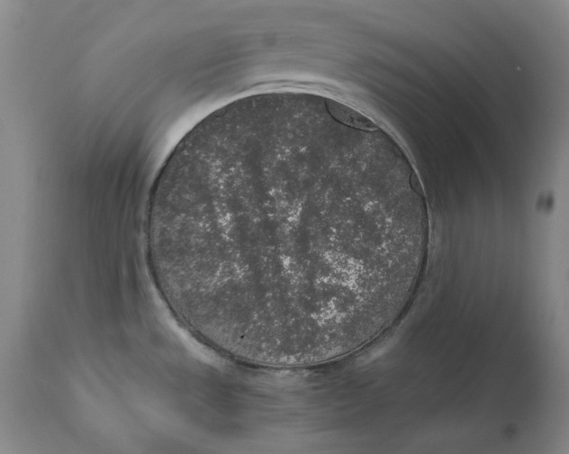 X0000111651533200908071354