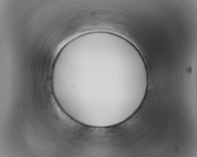 X0000111651534200908071355
