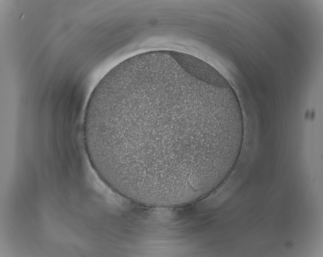 X0000111651536200908071355