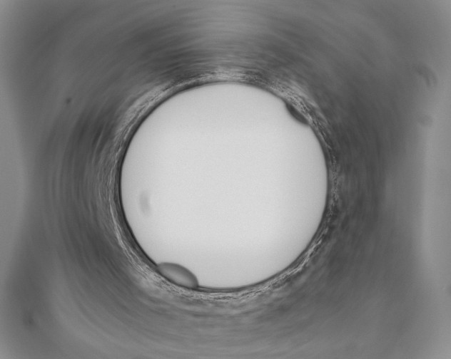 X0000111650001200908141302