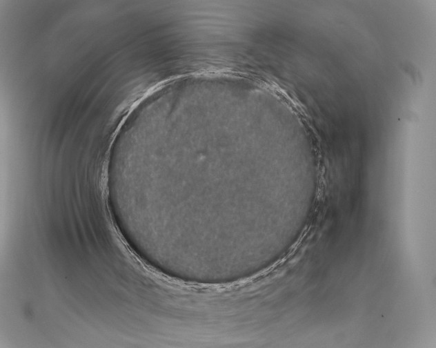 X0000111650002200908141302