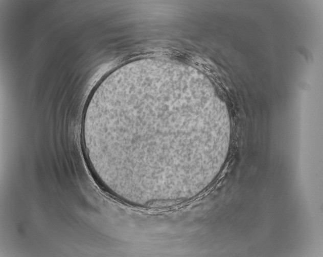 X0000111650003200908141302