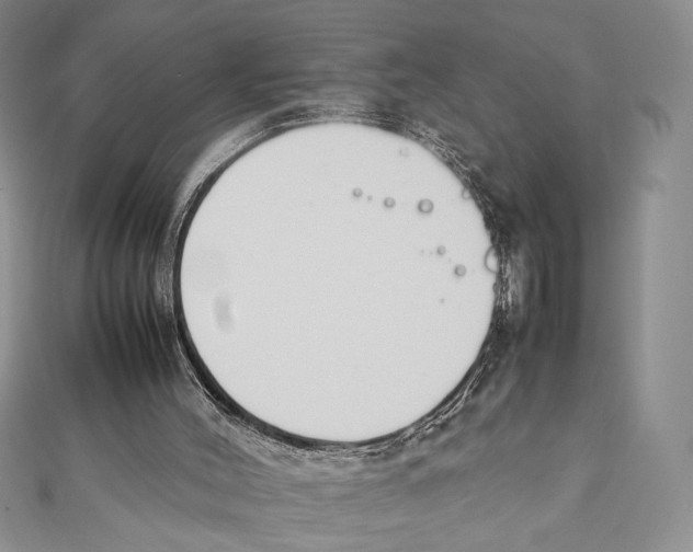 X0000111650004200908141302